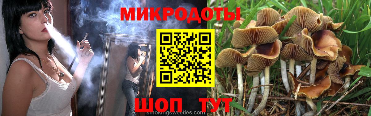 Псилоцибиновые грибы Cubensis Светлоград