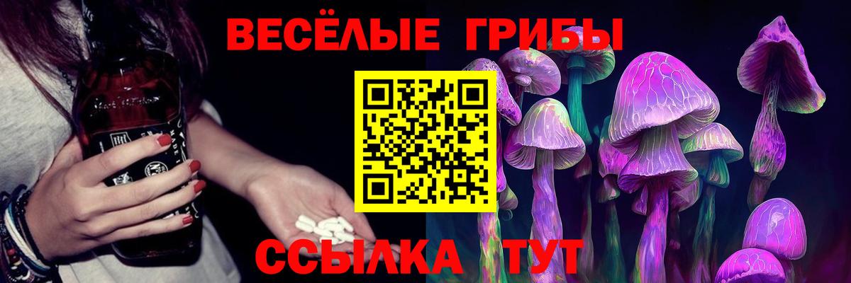 Галлюциногенные грибы GOLDEN TEACHER  Вход с VPN  Псилоцибиновые грибы MAGIC MUSHROOMS  Светлоград 